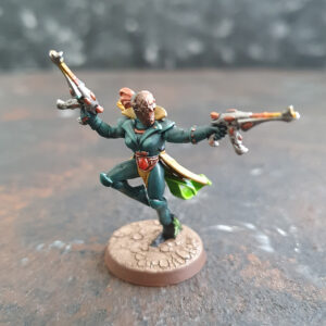 Warhammer Harlequin Troupe Miniaturen bemalt green