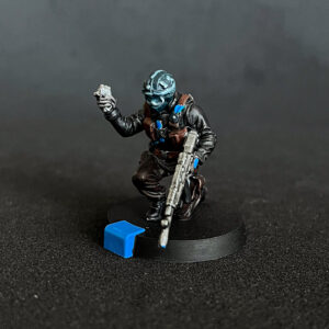 6: Siege Rainbow Six Painted Miniatures bemalte MIniaturen