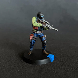6: Siege Rainbow Six Painted Miniatures bemalte MIniaturen